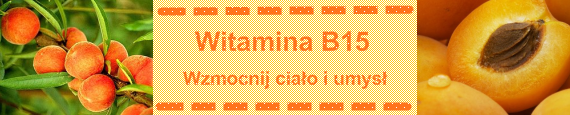 Witamina B15